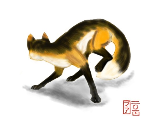 fox shintaro